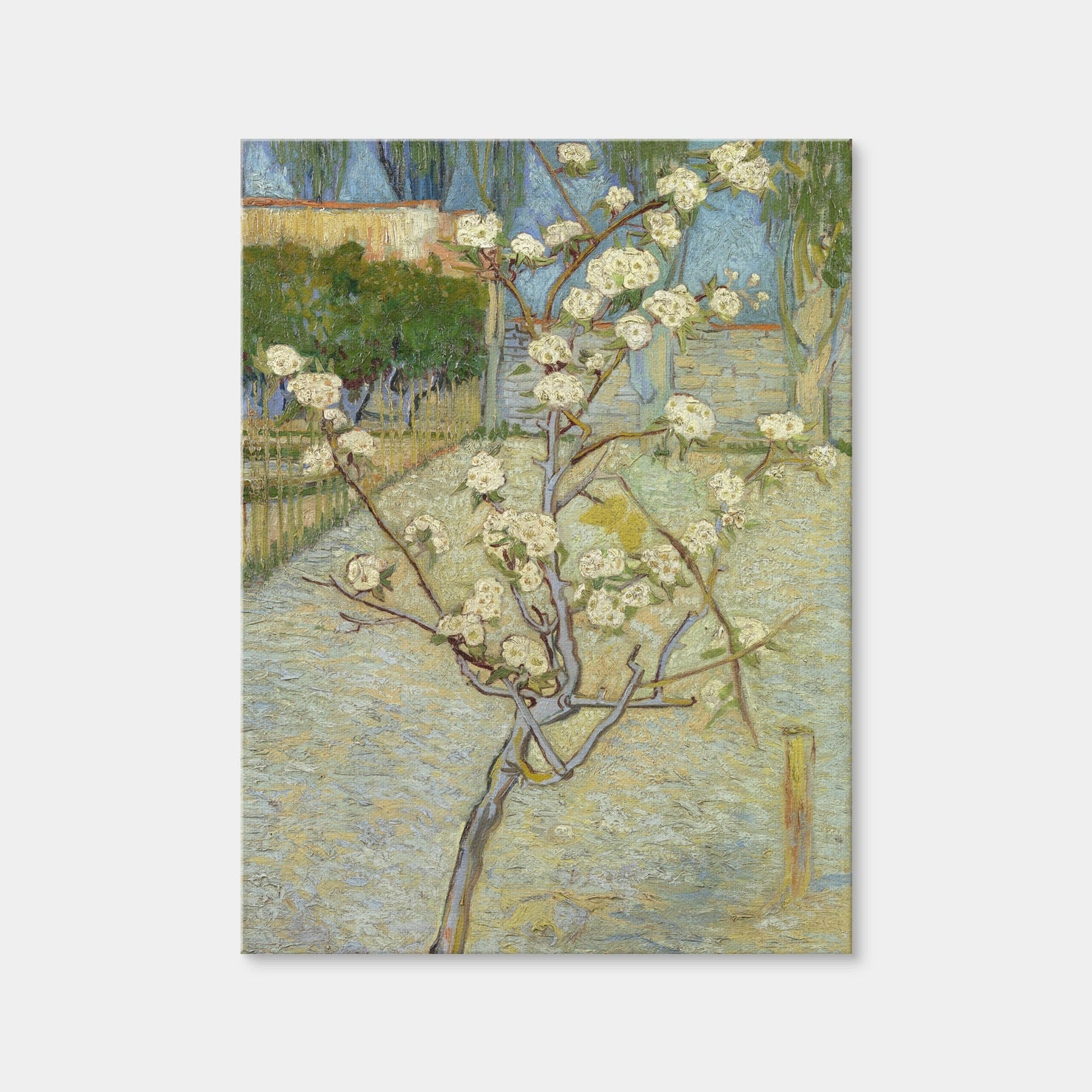 AUTO-MOCKUP WHITE | Perenboompje in bloei | 1 Piece | Gallery Wrap Canvas | group=3x4