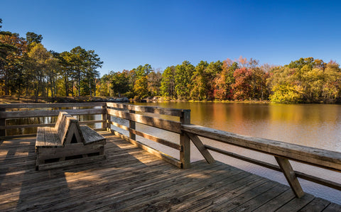 Petit Jean State Park Wall Art
