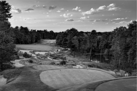 Pine Valley Grayscale Wall Art