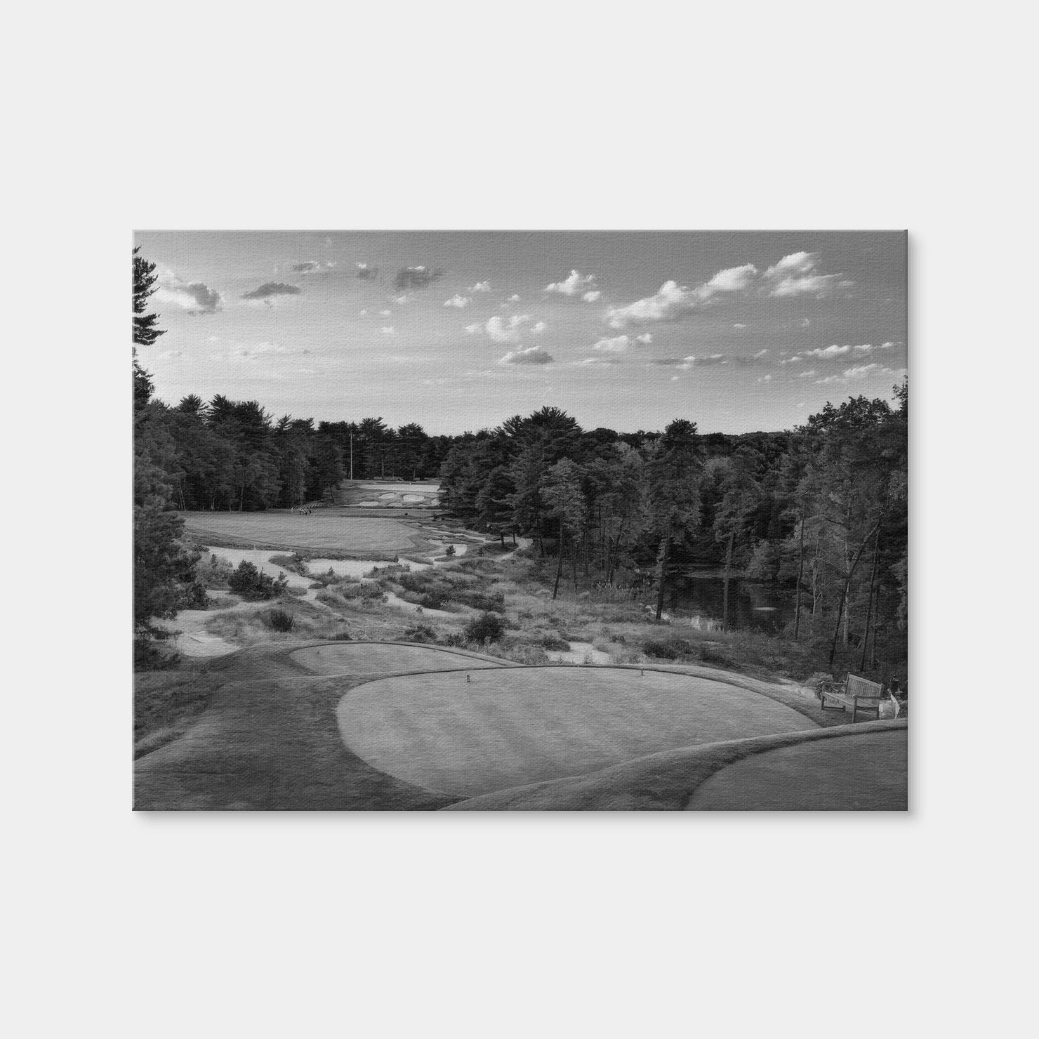 AUTO-MOCKUP WHITE | Pine Valley Grayscale | 1 Piece | Gallery Wrap | group=4x3