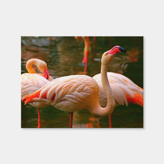 AUTO-MOCKUP WHITE | Pink Flamingo Birds | 1 Piece | Gallery Wrap | group=4x3