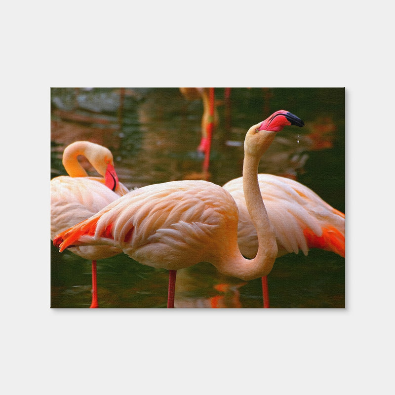 AUTO-MOCKUP WHITE | Pink Flamingo Birds | 1 Piece | Gallery Wrap | group=4x3