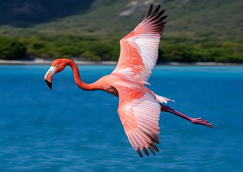 Pink Flamingo Flying Wall Art