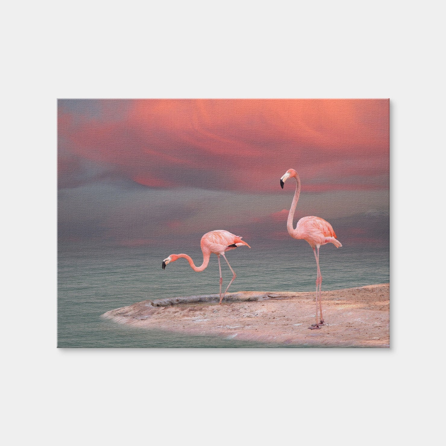 AUTO-MOCKUP WHITE | Pink Flamingo's on the Coast | 1 Piece | Gallery Wrap | group=4x3