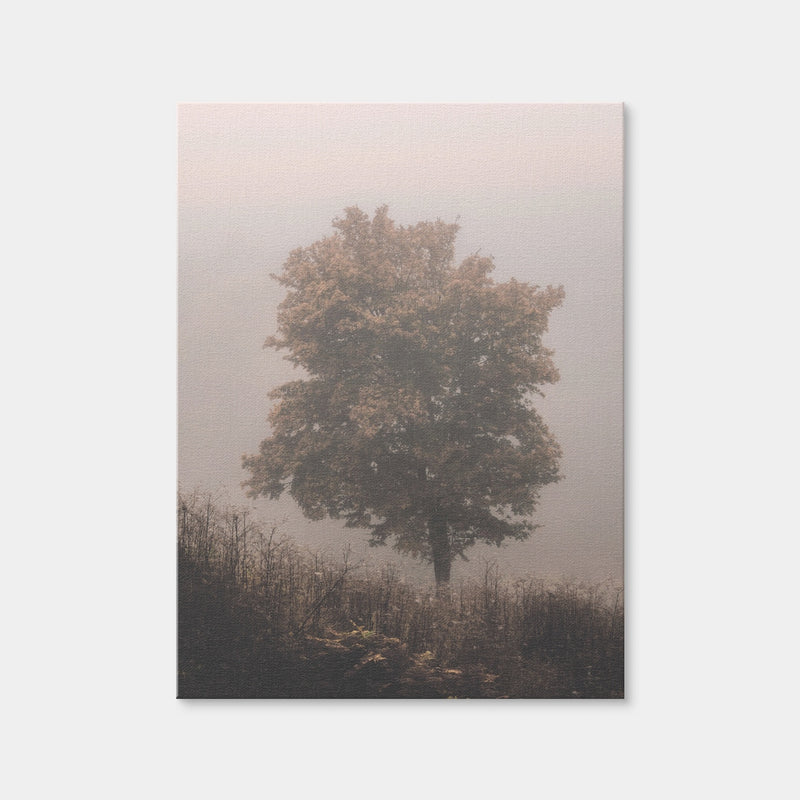 AUTO-MOCKUP WHITE | Pink Haze | 1 Piece | Gallery Wrap Canvas | group=3x4