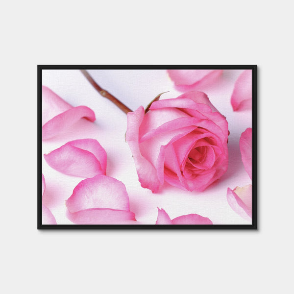 Pink Rose Petals Wall Art — Framed Canvas Format preview