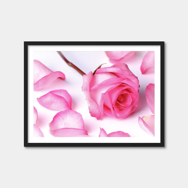Pink Rose Petals Wall Art — Framed Print Format preview