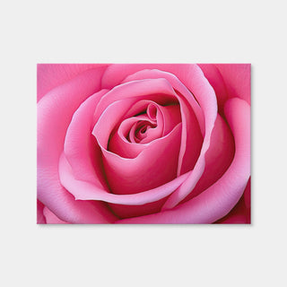 AUTO-MOCKUP WHITE | Pink Rose | 1 Piece | Gallery Wrap | group=4x3