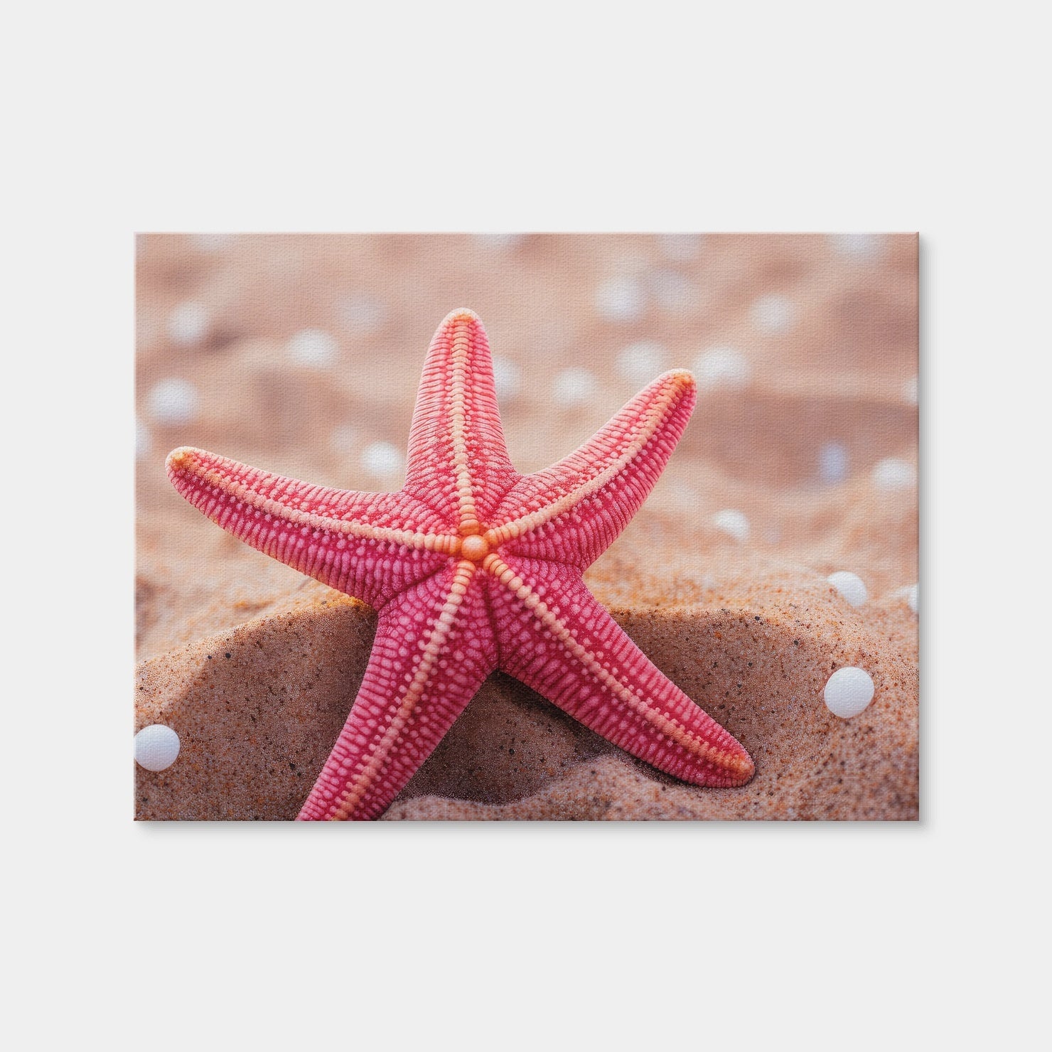 AUTO-MOCKUP WHITE | Pink Star Fish | 1 Piece | Gallery Wrap Canvas | group=4x3