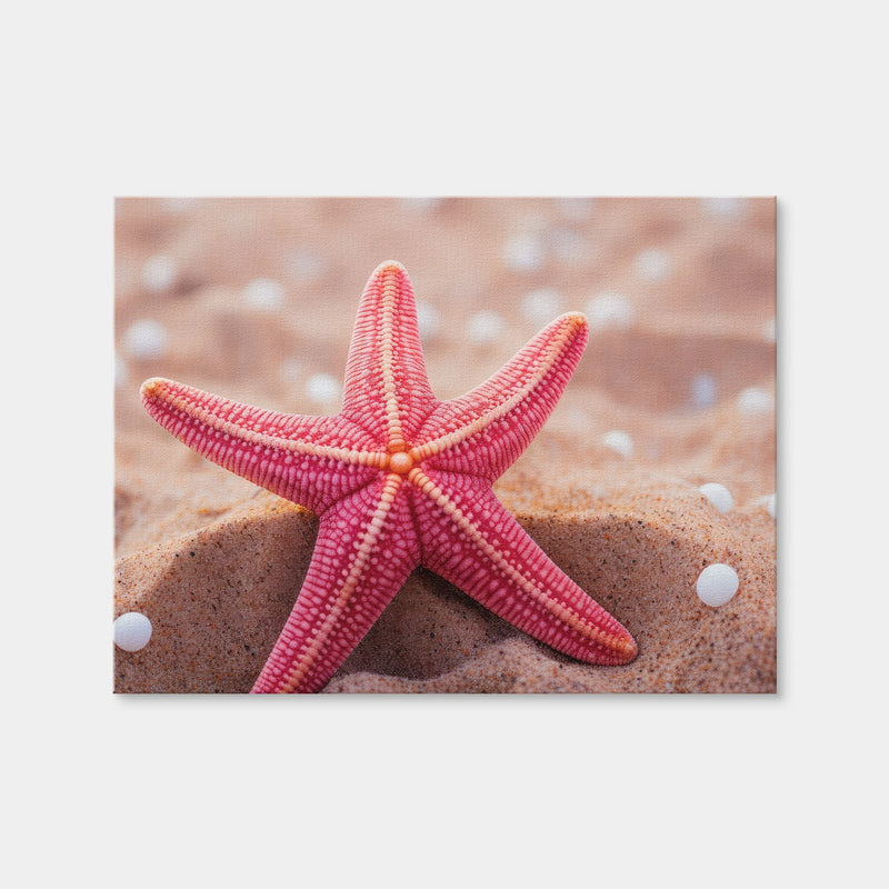 AUTO-MOCKUP WHITE | Pink Star Fish | 1 Piece | Gallery Wrap Canvas | group=4x3