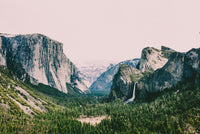 Pink Yosemite Wall Art