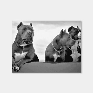 AUTO-MOCKUP WHITE | Pit Bulls | 1 Piece | Gallery Wrap Canvas | group=4x3