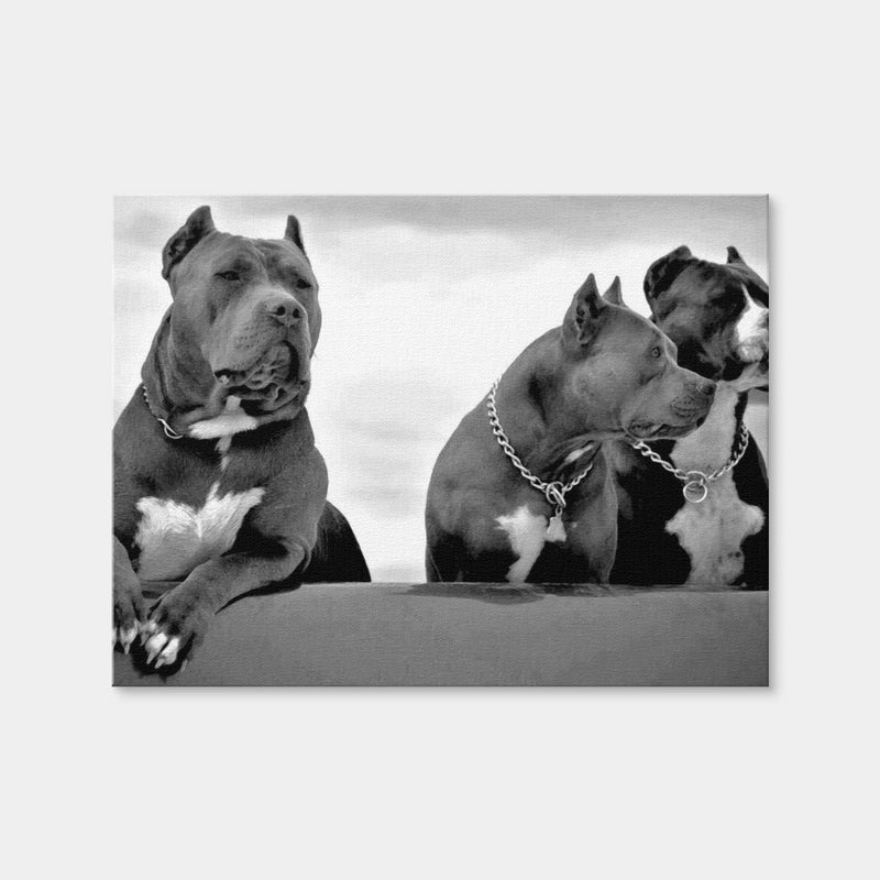 AUTO-MOCKUP WHITE | Pit Bulls | 1 Piece | Gallery Wrap Canvas | group=4x3
