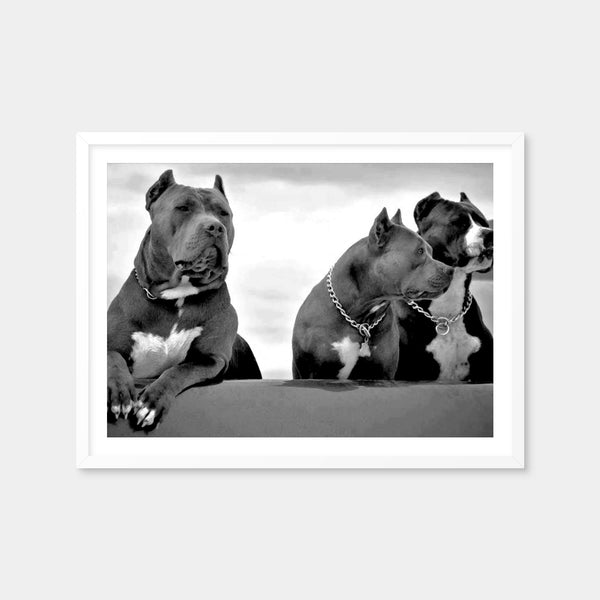 Pit Bulls Wall Art — Framed Print Format preview