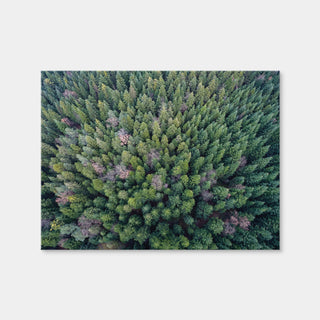 AUTO-MOCKUP WHITE | Pointy Pines | 1 Piece | Gallery Wrap | group=4x3