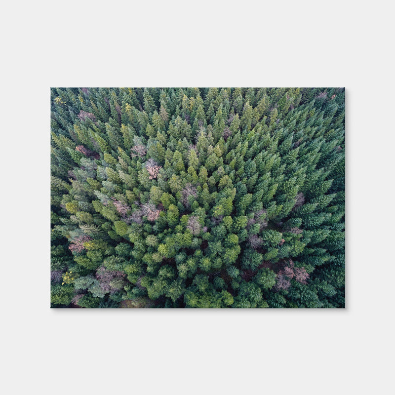 AUTO-MOCKUP WHITE | Pointy Pines | 1 Piece | Gallery Wrap | group=4x3