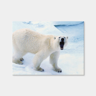 AUTO-MOCKUP WHITE | Polar Bear in Svalbard Norway | 1 Piece | Gallery Wrap Canvas | group=4x3