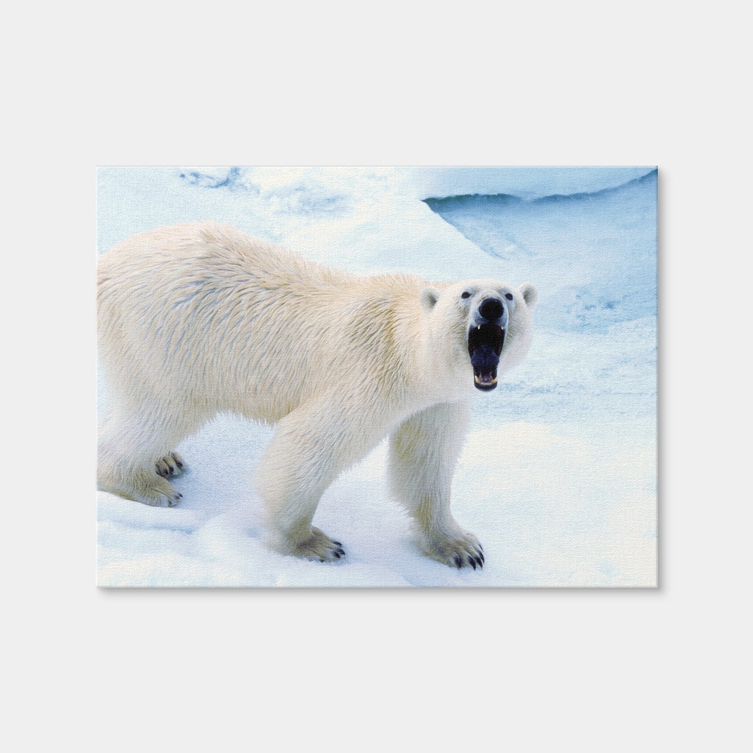 AUTO-MOCKUP WHITE | Polar Bear in Svalbard Norway | 1 Piece | Gallery Wrap Canvas | group=4x3