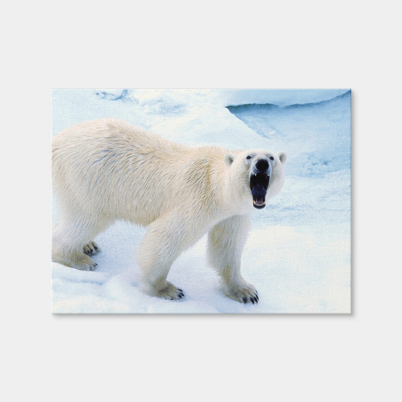 AUTO-MOCKUP WHITE | Polar Bear in Svalbard Norway | 1 Piece | Gallery Wrap Canvas | group=4x3