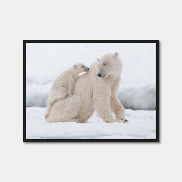 Polar Bear with Cub Wall Art — Framed Canvas Format preview