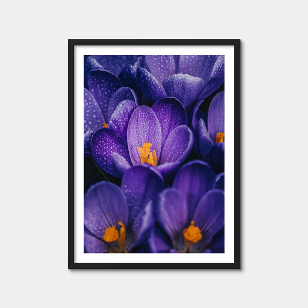 Pollen Purple Wall Art — Framed Print Format preview