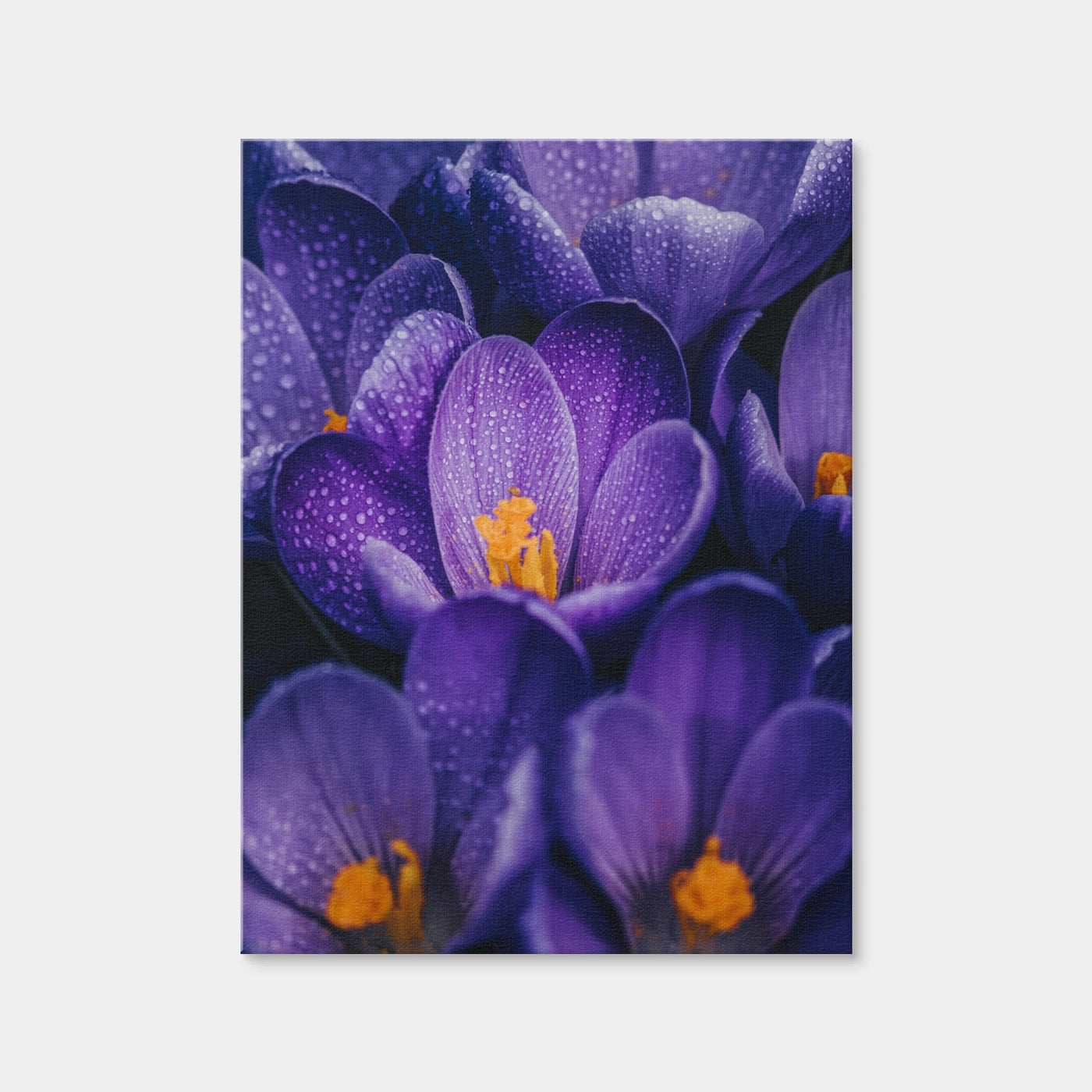 AUTO-MOCKUP WHITE | Pollen Purple | 1 Piece | Gallery Wrap Canvas | group=3x4