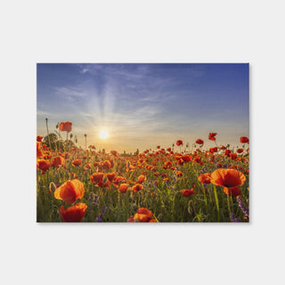 AUTO-MOCKUP WHITE | Poppies in the Evening | 1 Piece | Gallery Wrap | group=4x3