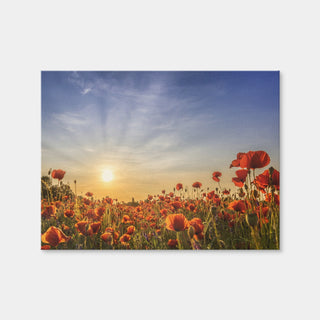 AUTO-MOCKUP WHITE | Poppy Field in Sunset | 1 Piece | Gallery Wrap Canvas | group=4x3