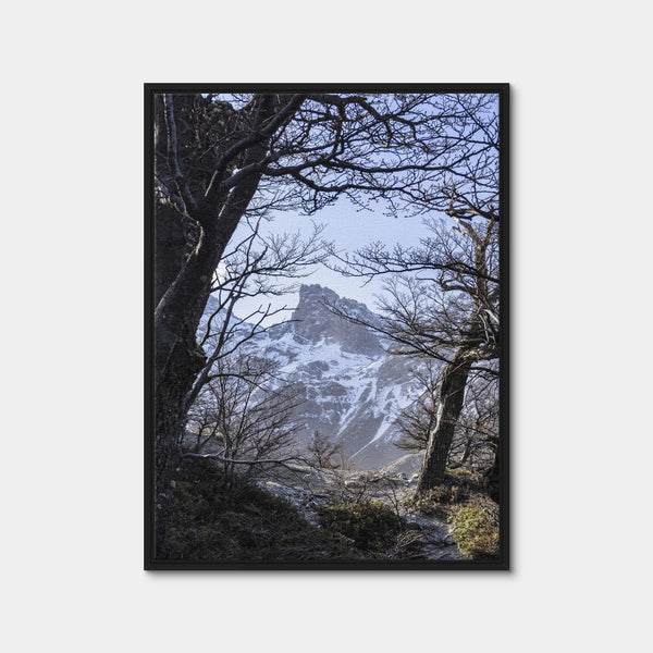 Portal to Patagonia Wall Art — Framed Canvas Format preview