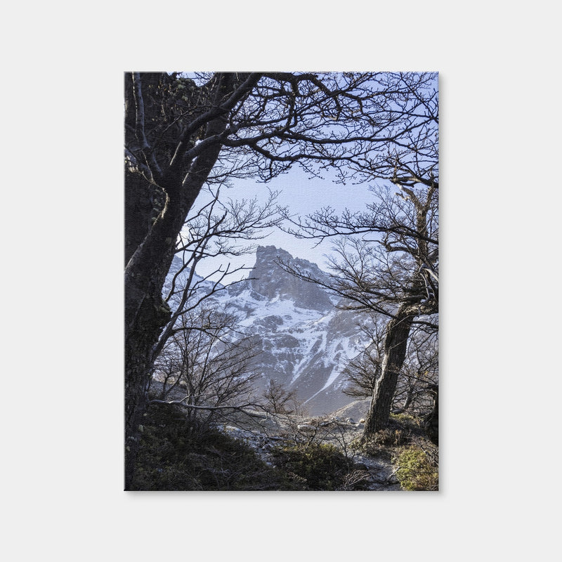 AUTO-MOCKUP WHITE | Portal to Patagonia | 1 Piece | Gallery Wrap Canvas | group=3x4