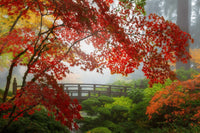 Portland Japanese Garden Wall Art