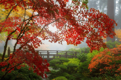 Portland Japanese Garden Wall Art