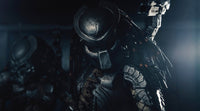 Predator in the Shadows Wall Art