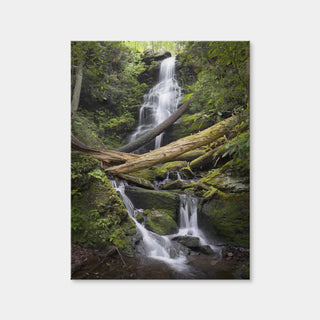 AUTO-MOCKUP WHITE | Pristine Habitat | 1 Piece | Gallery Wrap Canvas | group=3x4