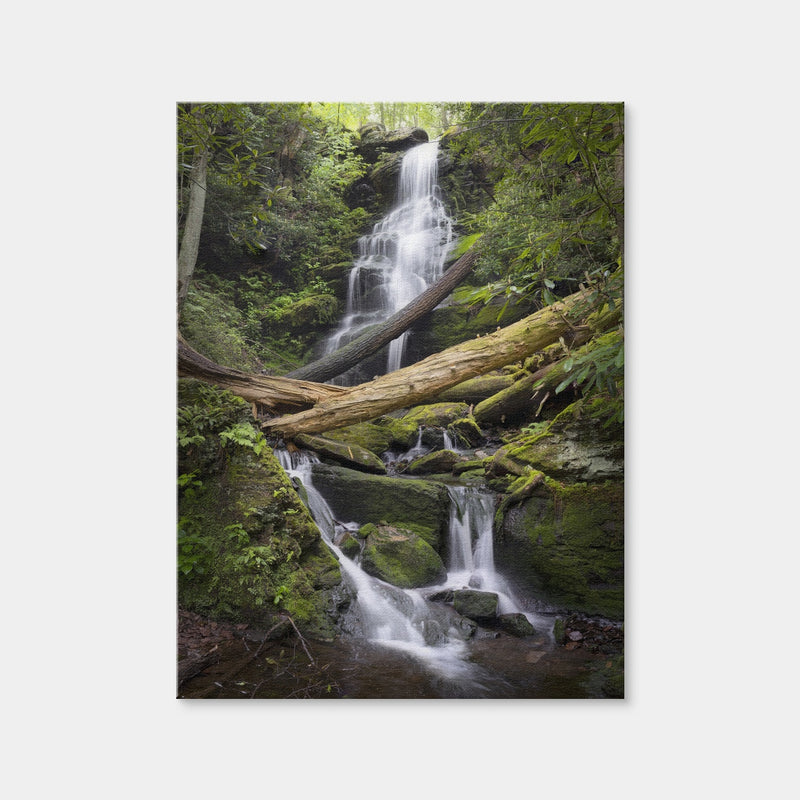 AUTO-MOCKUP WHITE | Pristine Habitat | 1 Piece | Gallery Wrap Canvas | group=3x4
