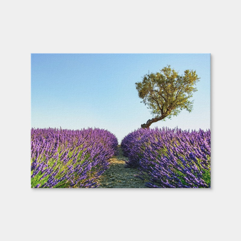 AUTO-MOCKUP WHITE | Provence Landscape | 1 Piece | Gallery Wrap | group=4x3