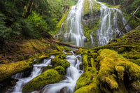 Proxy falls Wall Art