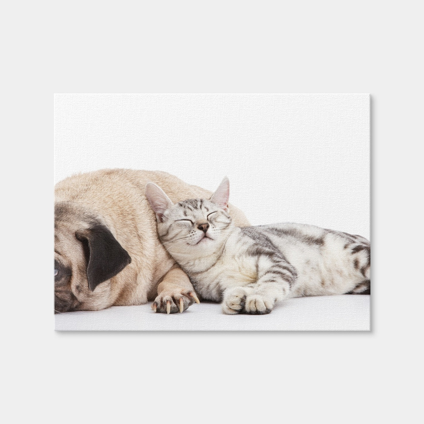 AUTO-MOCKUP WHITE | Pug and Cat | 1 Piece | Gallery Wrap Canvas | group=4x3