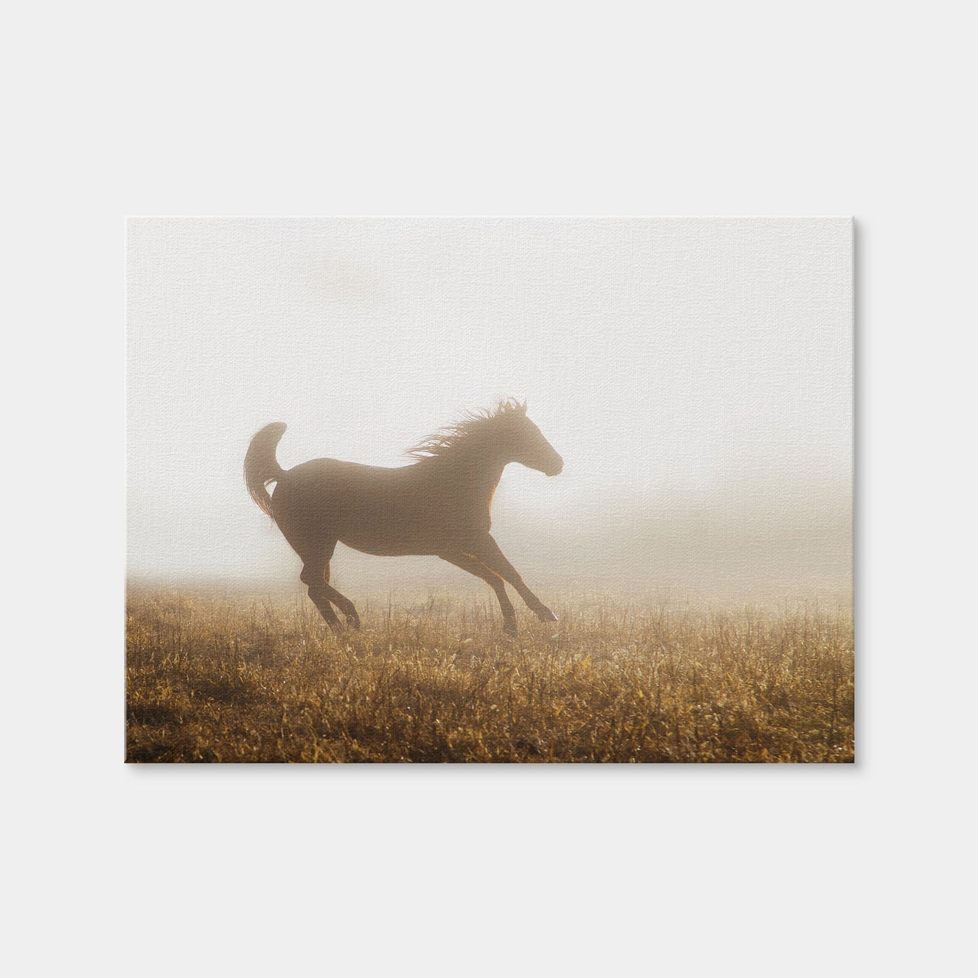 AUTO-MOCKUP WHITE | Quarter Horse Running in Fog | 1 Piece | Gallery Wrap | group=4x3