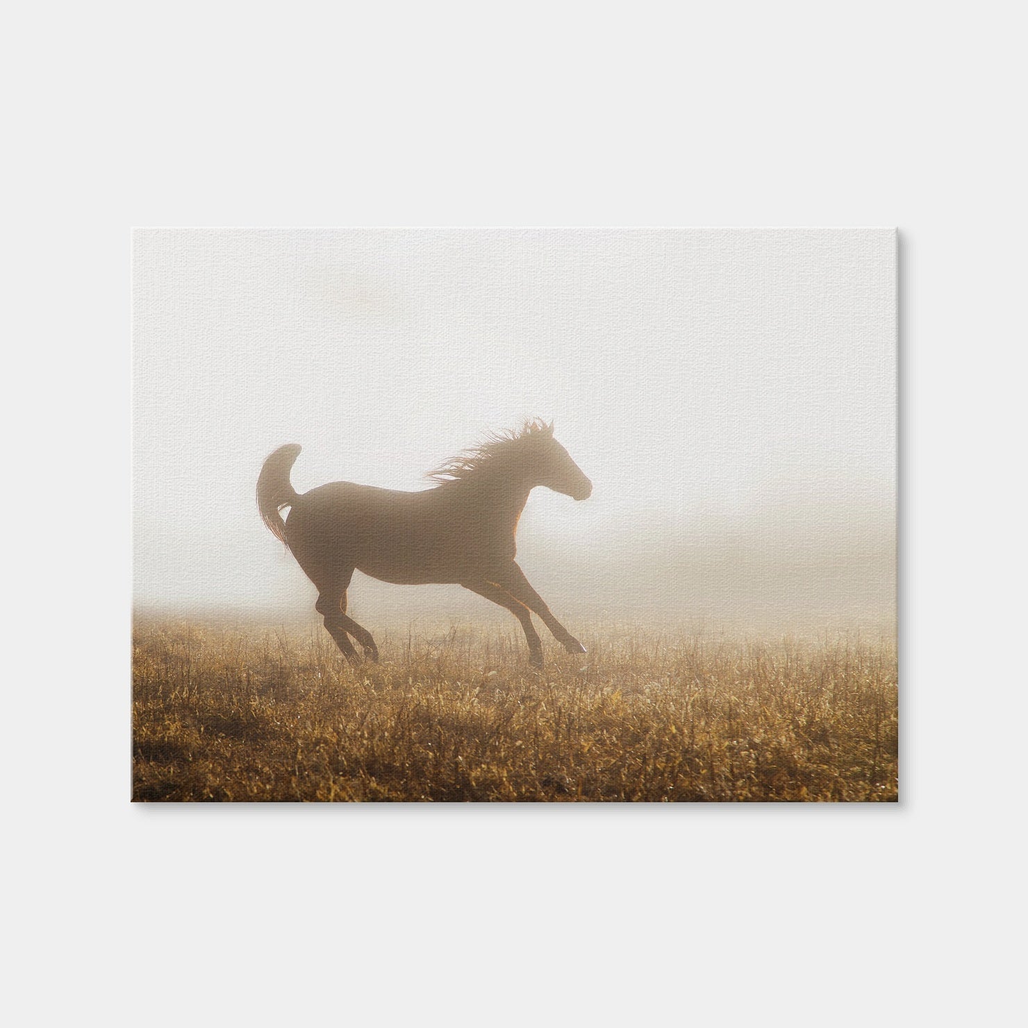 AUTO-MOCKUP WHITE | Quarter Horse Running in Fog | 1 Piece | Gallery Wrap | group=4x3