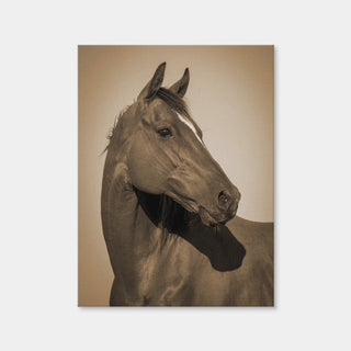 AUTO-MOCKUP WHITE | Quarter Horse | 1 Piece | Gallery Wrap Canvas | group=3x4