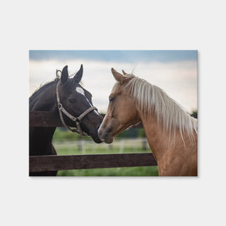 AUTO-MOCKUP WHITE | Quarter Horses | 1 Piece | Gallery Wrap | group=4x3