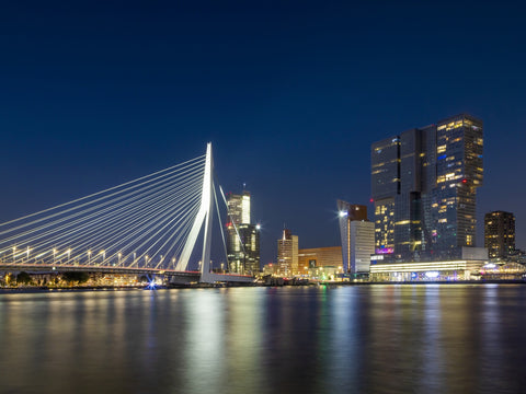 ROTTERDAM Erasmus Bridge at night Wall Art