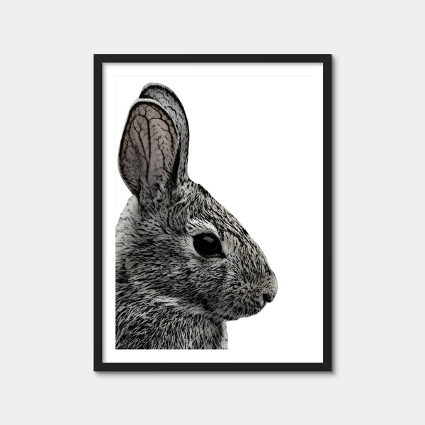 Rabbit Sketch Wall Art — Framed Print Format preview