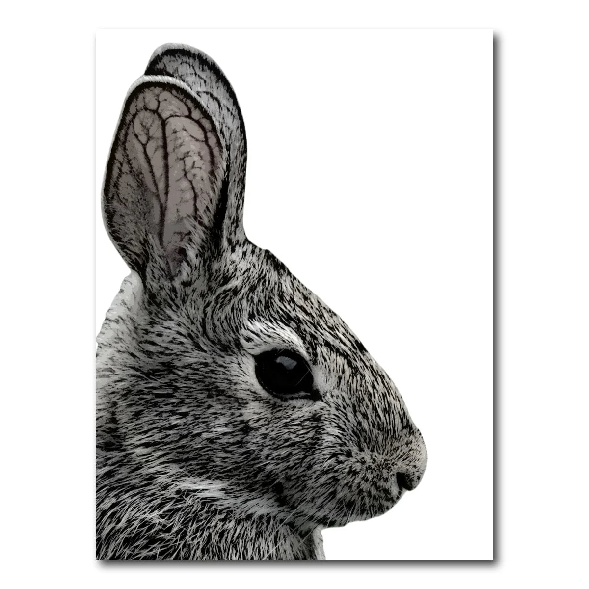 Rabbit Sketch Wall Art