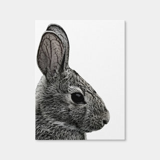 AUTO-MOCKUP WHITE | Rabbit Sketch | 1 Piece | Gallery Wrap Canvas | group=3x4