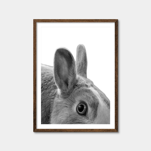Rabbit Wall Art — Framed Print Format preview