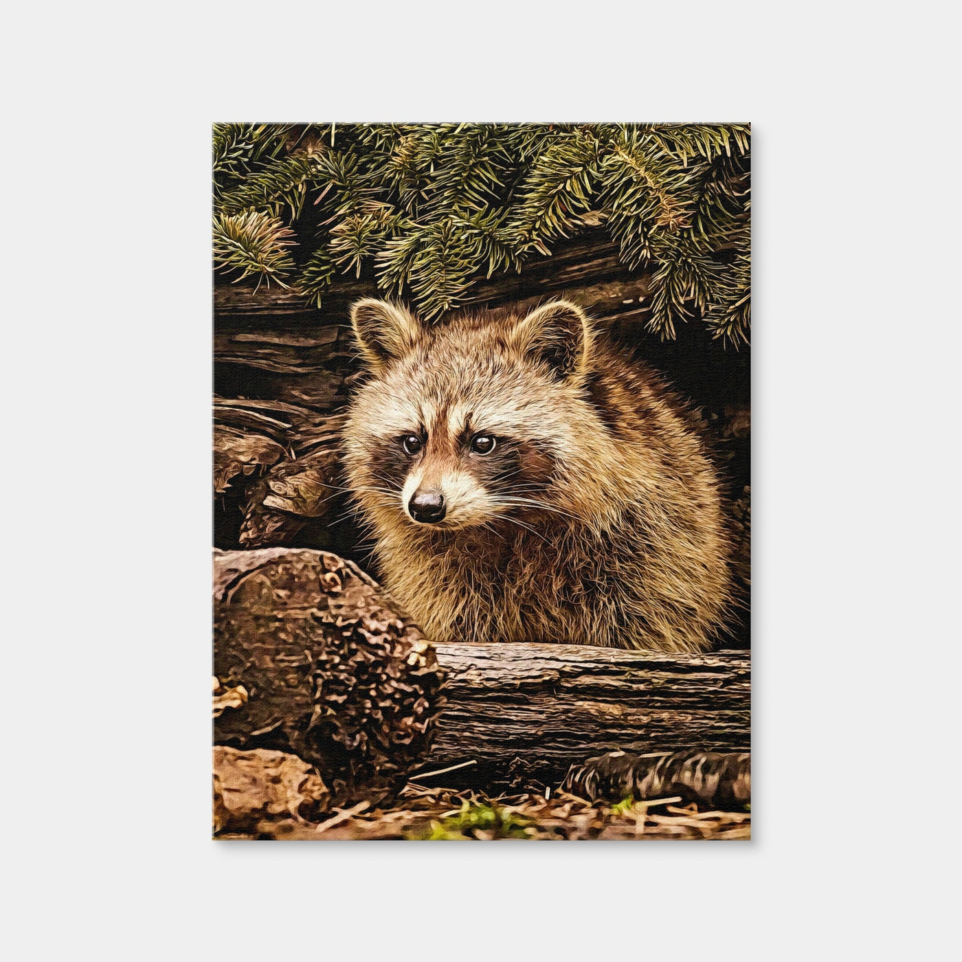 AUTO-MOCKUP WHITE | Raccoon | 1 Piece | Gallery Wrap | group=3x4