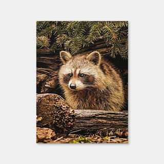 AUTO-MOCKUP WHITE | Raccoon | 1 Piece | Gallery Wrap | group=3x4