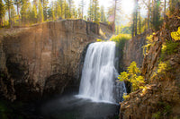 Rainbow Falls & Forest Wall Art